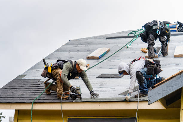 Professional Roofing technician working in Maybee, MI